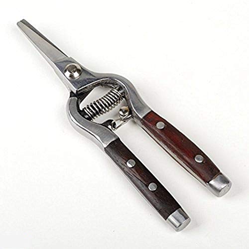 Tijeras de Poda Acero Inoxidable 8" Mango Madera miniatura 1