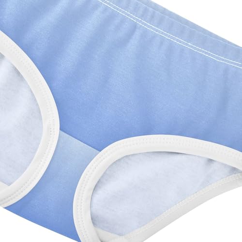 Joisal Elegant Blue Salvia Gradient Panties for Girl Girls Underwear Toddler Cotton Flower Briefs Underpants 2t4