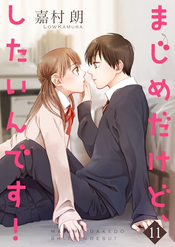 まじめだけど、したいんです！【合冊版】11 (Colorful!)