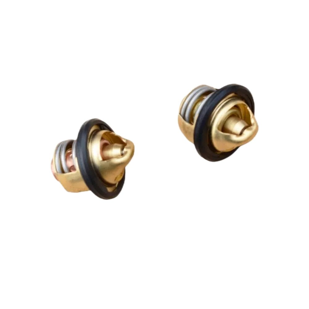 Water Temperature Thermostat Compatible With CF250 150NK 250NK 250SR 250CLX Motorcycle(250NK)