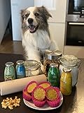 Hunde Smoothie SmoothieDog 6er Immunio (Rind) - Flüssiges Hundeleckerli - Zucker- & glutenfrei - je 250ml