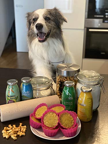 Hunde Smoothie SmoothieDog 6er Immunio (Rind) - Flüssiges Hundeleckerli - Zucker- & glutenfrei - je 250ml