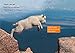 Goat Skills: Band 04/Blue (Collins Big Cat Phonics for Letters and Sounds – Age 7+)