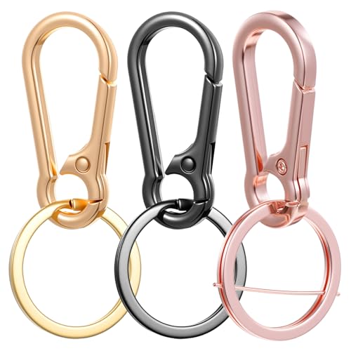 Tyqour Lot de 3 mousquetons porte-clés en métal - Petit anneau porte-clés - Avec clips à fermeture rapide - Pour clés, sacs à dos et breloques