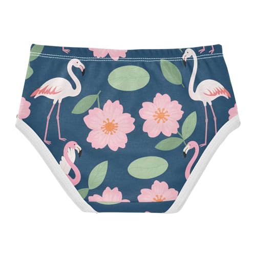 Underwear Elastic Waistband Panties Comfort Underwear for Girls in Sizes 2T,3T, 4T, 5T, 6Y and 8Y2