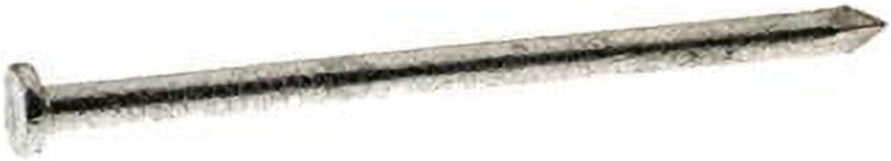 2 in. 50 lbs 6D Common Hot-Dipped Galvanized Steel Round Nail