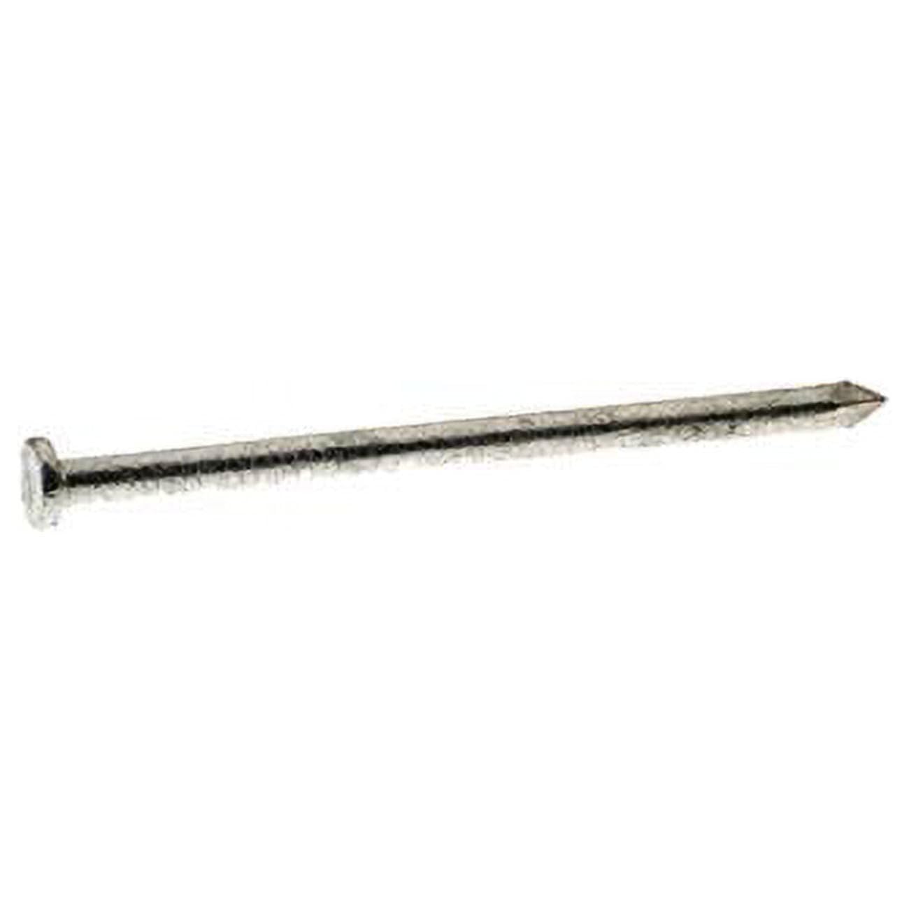 2 in. 50 lbs 6D Common Hot-Dipped Galvanized Steel Round Nail