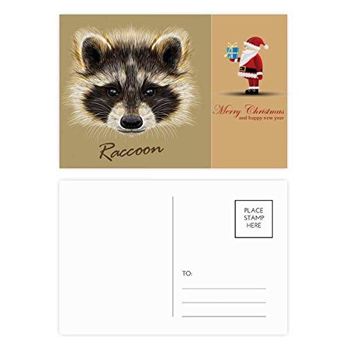 Cartes postales raton laveur marron pour ne plus manquer de cartes