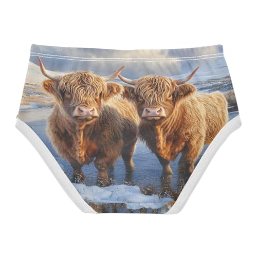 Two Highland Cows Winter Snow Toddler Girls's Underwear 2T 202b86212