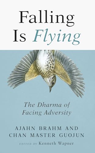 Falling is Flying: The Dharma of Facing Adversity (1)