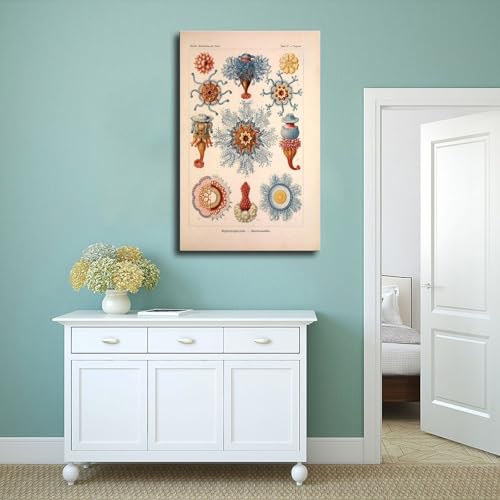 Cadre vintage créature marine grand format chambre