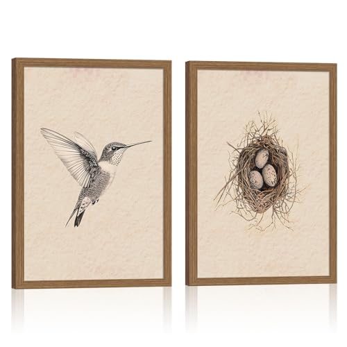 Hummingbird and bird nest canvas prints