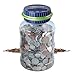 Discovery Kids Coin jar
