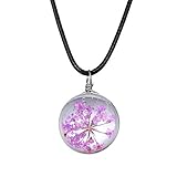 Fashion Halsband-mit Seil Kette und Karabinerverschluss