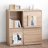 タンスのゲン フラップチェスト 幅90 2段 背面収納 間仕切り 大容量 扉付き 本棚 ディスプレイラック マガジンラック リビング収納 68210001(95595)