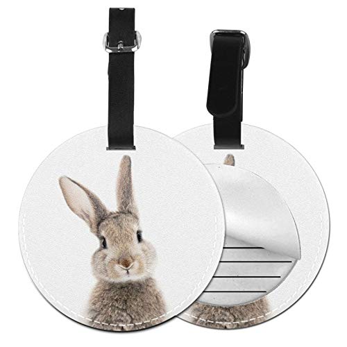 l[^O e  ʐ^  X[cP[X obO xg ו^O ی` ~` h~ o Q[W^O D obO BOLACO 2 1