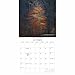 Gladstone Media, Witches’ Woods 2026 Square Wall Calendar
