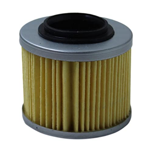 Filtro Óleo Bmw G 650 GS 2012 a 2015/ Pegaso 600-650 Valflex