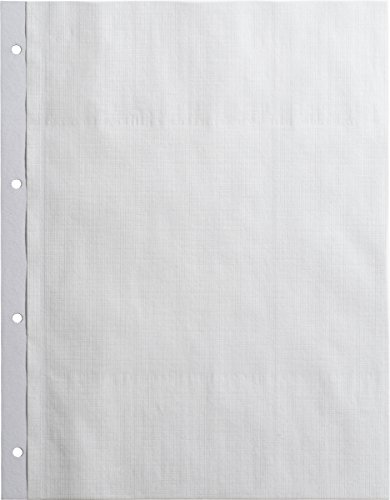 Brunnen 1061610 - Hojas para álbum de fotos (lisas, 23 x 29,7...