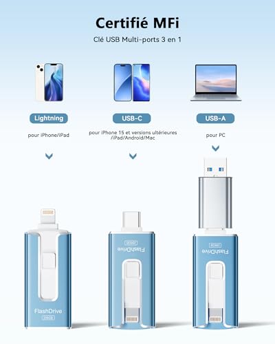Clé USB C 256 Go pour résoudre le problème de mémoire saturée sur PC