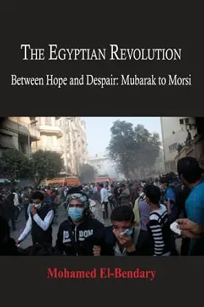 The Egyptian Revolution: Between Hope and Despair: Mubarak to Morsi-Wow! eBook