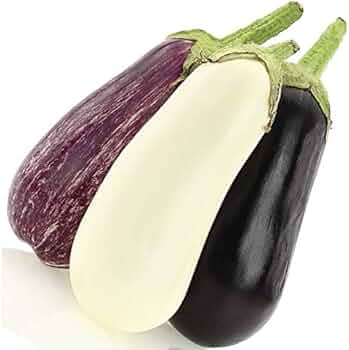 water eggplant 415-Yhs134L._AC_UF350,