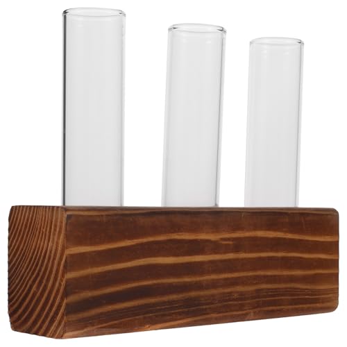 Toyvian Station de Propagation de Bureau en Verre Cadre en Bois, Kit de Terrarium pour Plantes Décoratif et Élégant, pour Salon ou Bureau