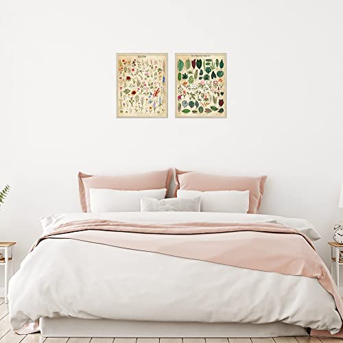 Insire Botanical Wall Art Botanical Poster Plant Poster - Set Of 2 (11X14) Plant Art, Vintage Botanical Prints Plant Posters Botanical Wall Decor - Plant Prints Vintage Botanical Wall Art - Unframed #TOP4