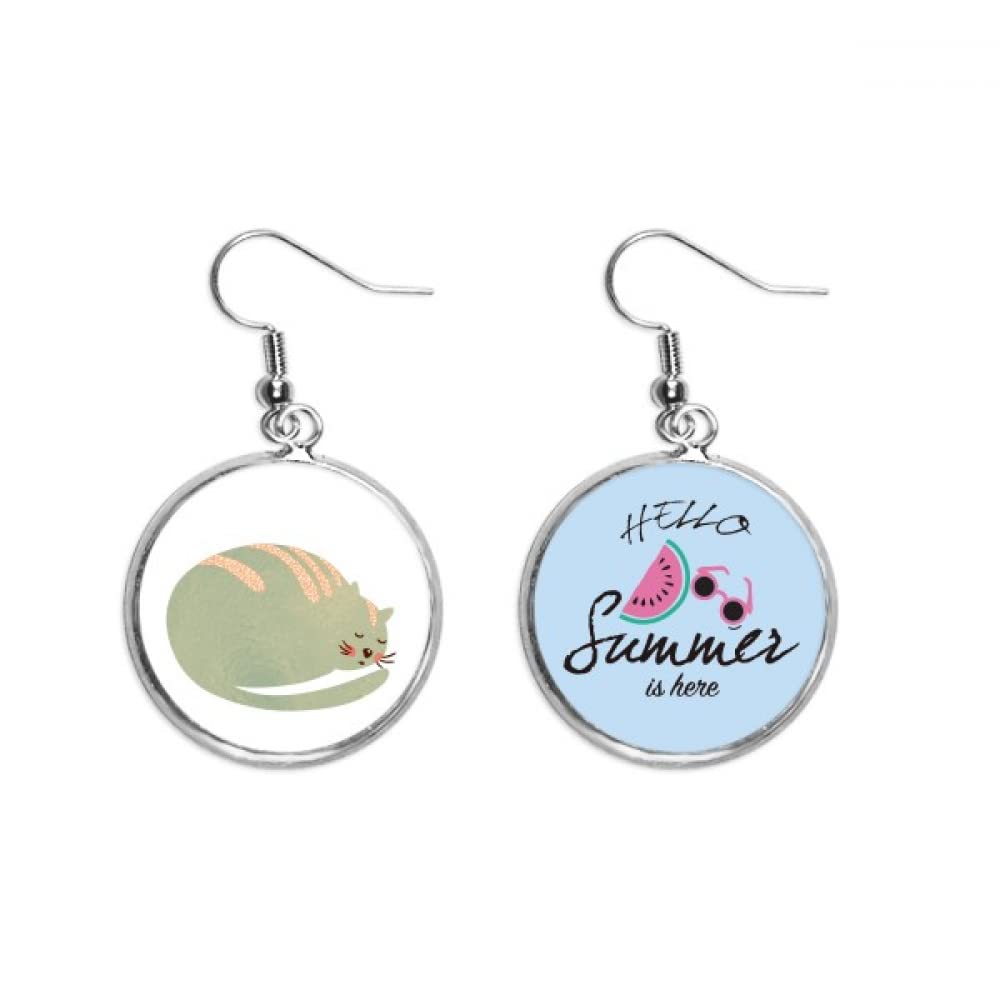 Pendientes de sandía estilo animal gato mascota en acuarela 5