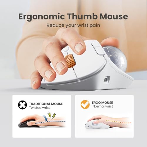 Image of ProtoArc Wireless Trackball Mouse, EM04 Ergonomic Bluetooth Rollerball Mouse Rechargeable Computer Laptop Mouse Thumb Control Mice, Compatible with PC, iPad, Mac, Windows-White Mouse Ash Grey Ball