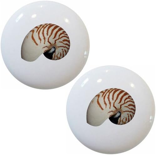 Set of 2 Nautilus Seashell Ceramic Cabinet Drawer Knobs