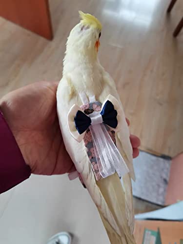 Bird Flight Suits Diapers, Parrot Flight Suits Diapers For Monk Parakeets, Cockatiels Flight Suits, Parrot Clothes, Bird Training Nappy Suit Liners Clothes (Medium,Navy) #TOP6