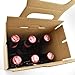 Imagen de Caja portabotellas de cerveza Evergreen Goods 330ml 1X- Con capacidad para 6 botellas o latas