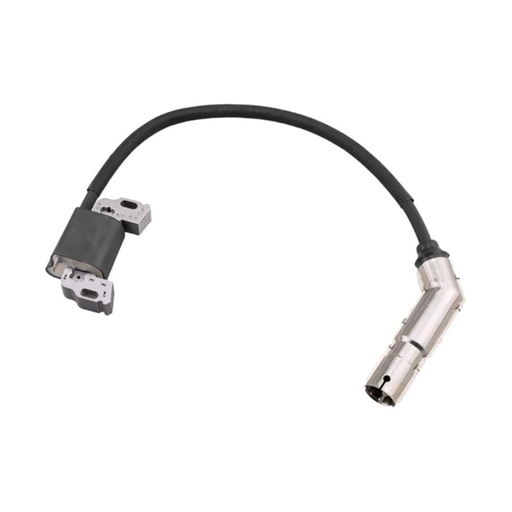 Bobine d'allumage à induit 595304 haute performance pour moteur