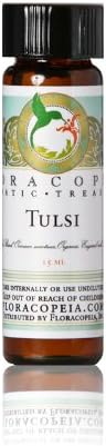 Tulsi Essential Oil (Holy Basil Essential Oil) 1/2 oz (15 ml) by Floracopeia