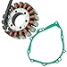 Caltric Stator & Gasket Compatible with Suzuki Gsx-1300R Gsx1300R Gsx 1300R Hayabusa 1999-2007
