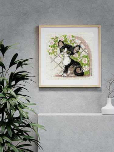 RIOLIS Kit de ponto cruz contado 2121 Cornish Rex Kitten