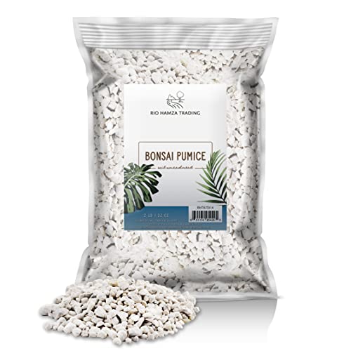 Horticultural Bonsai Pumice Soil Amendment (2 LB), Supplement for Bonsai and Cactus Indoor Plants