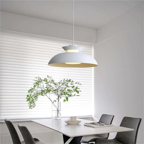 Pendentif acrylique en métal au design créatif de plafond mouche minimaliste - 6