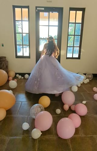 JAEDEN Prom Dress Ball Gown 2026 - Quinceanera Dresses Lace Off Shoulder Long Prom Dress4