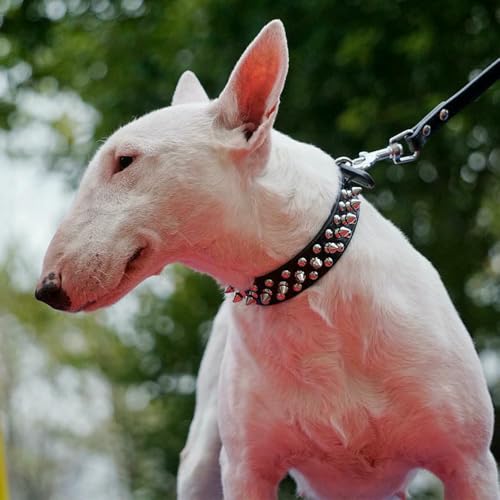 Collier pour chien en PU avec rivets à pointes anti-morsures pour Doberman - 4