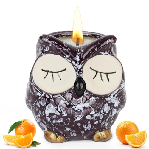 Alaoo Velas Perfumadas para Mujer,Velas Aromaticas Decorativas,Vela perfumada de búho encantador, Lujosas Velas de Aromaterapia Naranja Dulce,para Yoga Baño Dormitorio,Morado