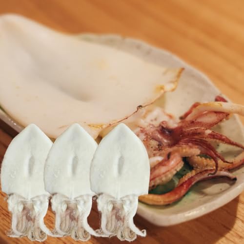 RY CJ 銱 3 (1120g`140g)  񂳂 PTLCJ yⓀz