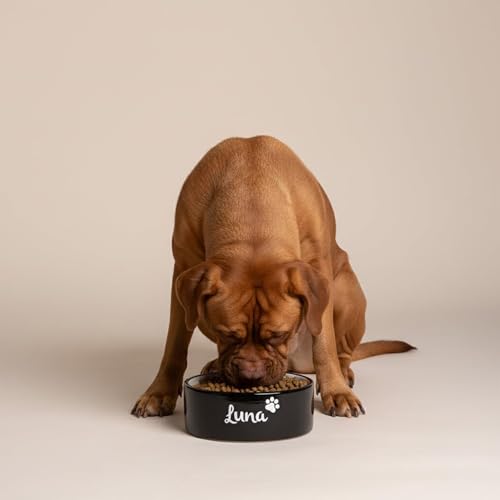 Hundenapf personalisiert aus Keramik L 1700ml Schwarz – rutschfest, leicht & hygienisch – Futter- & Wassernapf mit Namen für kleine Hunde & Katzen