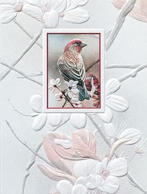 Embossed Small Blank Greeting Cards Boxed Set - Pretty Perch, 9 Count