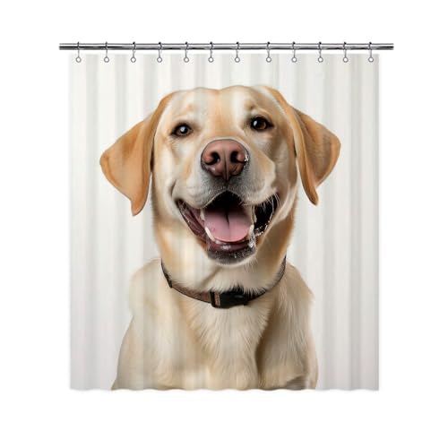Ganshan Bi Labrador Retriever Dog Shower Curtain for Bathroom Lovely Dog Puppy Pet Animal Print Bath Curtains Home Decor with 12 Hooks 72x72 Inch Style 4