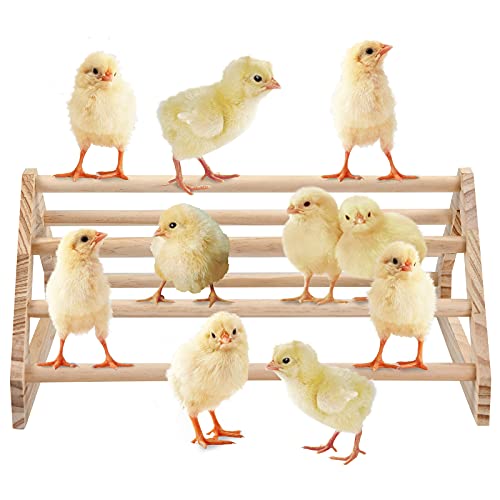 Image of Wooden Chick Perch Stand, Pine Chicks Roosting Bar, Jungle Gym Perch Toys for Chicken Coop & Brooder, Bird Perch for Baby Chicks & Parrots (Large)