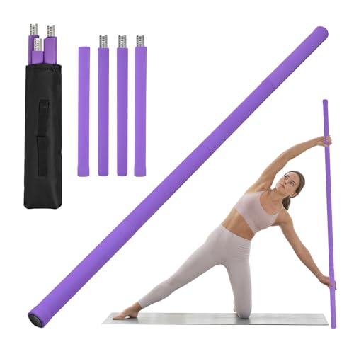 Steel Mobility Stick with Foam Grips