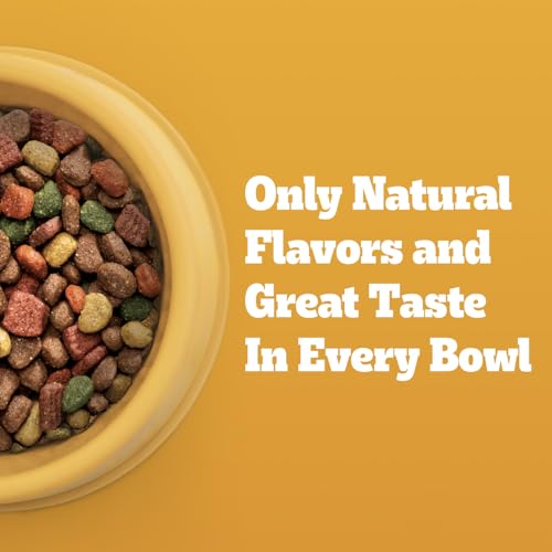 Image of Pedigree High Protein Adult Dry Dog Food, Beef and Lamb, 40 lb