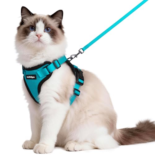Image of rabbitgoo Cat Harness and Leash Set, Escape Proof Vest, Teal | Soft Breathable Mesh, Easy Adjustable Fit, Snap Buckles, Sturdy Clip, Reflective Strips, for Medium to Large Cats Walks, M